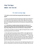 Tiểu luận trí nhớ và học tập