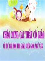 Bài giảng Chiêc lược ngà - Nguyễn Quang Sáng