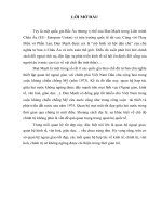 Tiểu Luận Quan hệ ngoại giao giữa Việt Nam và Đan Mạch