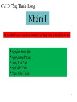 Dựa trên các luận điểm khoa học xây dựng cơ sở lý thuyết sắc ký khí