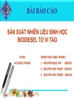 SẢN XUẤT NHIÊN LIỆU SINH HỌC BIODIESEL TỪ VI TẢO