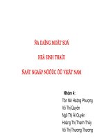 đề tài hệ sinh thái đất ngập nước mặn ở việt nam