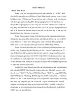 skkn  Phương pháp giải toán trên MTĐT đối với THCS