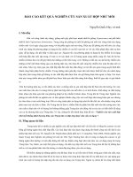 BÁO CÁO KẾT QUẢ NGHIÊN CỨU SẢN XUẤT HỘP NHỬ MỐI