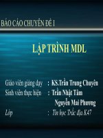 BÁO CÁO CHUYÊN ĐỀ I LẬP TRÌNH MDL