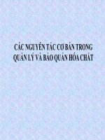 CÁC NGUYÊN TẮC CƠ BẢN TRONG QUẢN LÝ VÀ BẢO QUẢN HÓA CHẤT
