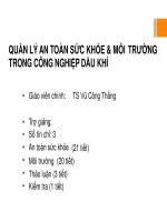 QUẢN LÝ AN TOÀN SỨC KHỎE & MÔI TRONG CÔNG NGHIỆP DẦU KHÍ