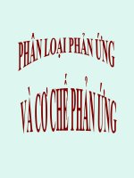 phân loại phản ứng và cơ chế phản ứng
