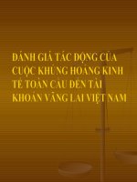 đánh giá tác động của cuộc khủng hoảng kinh tế toàn cầu đến tài khaorn vãng lai việt nam