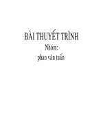 bài thuyết trình bạo lực gia đình