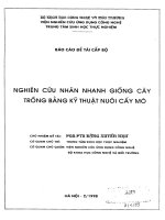 nghiên cứu nhân nhanh giống cây trồng bằng kỹ thuật nuôi cấy mô
