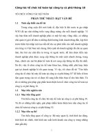 Tìm hiểu công tác tổ chức bộ máy kế toán tại công ty cà phê tháng 10