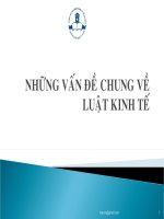 lý luận chung về luật kinh tế
