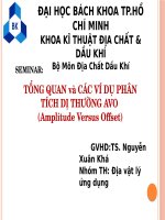 TỔNG QUAN và CÁC VÍ DỤ PHÂN TÍCH DỊ THƯỜNG AVO (Amplitude Versus Offset)