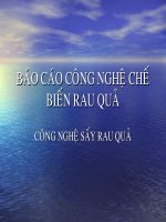 báo cáo công nghệ chế biến rau quả