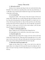 SKKN Một vài biện pháp giảm học sinh bỏ học của trường trung học cơ sở Nhuận Phú Tân (THCS)