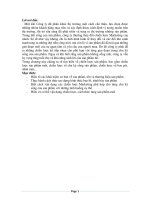 bài thuyết trình CHIẾN LƯỢC SẢN PHẨM