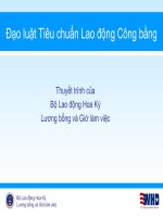 Đạo luật Tiêu chuẩn Lao động Công bằng Thuyết trình của Bộ Lao động Hoa Kỳ Lương bổng và Giờ làm việc