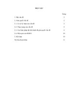 Áp dụng định luật bảo toàn động lượng trong giải bài tập vật lí 10