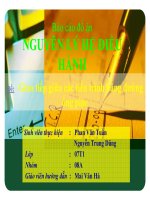 đề tài giao tiếp giữa các tiến trình bằng đường ống pipe