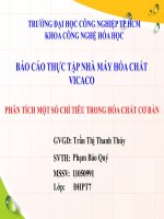 PHÂN TÍCH MỘT SỐ CHỈ TIÊU TRONG HÓA CHẤT CƠ BẢN