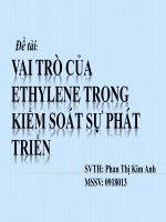VAI TRÒ CỦA ETHYLENE TRONG KIỂM SOÁT SỰ PHÁT TRIỂN