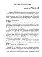 MỘT SỐ HIỂU BIẾT CƠ BẢN VỀ MỐI