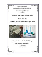 Đề Tài Tiểu Luận CÁC PHẢN ỨNG ION TRONG DUNG DỊCH NƯỚC