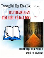 bài thảo luận tìm hiểu về đất dỏ vàng