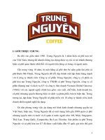 tìm hiểu về công ty cp cafe trung nguyên và chiến lược kinh doanh