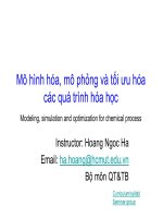 Mô hình hóa, mô phỏng và tối ưu hóa các quá trình hóa họ c