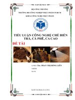 TIỂU LUẬN CÔNG NGHỆ CHẾ BIẾN TRÀ, CÀ PHÊ, CA CAO