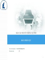 báo cáo truyền thông vệ tinh bài phân cực