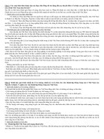 đáp án đề cương đường lối đảng cộng sản việt nam