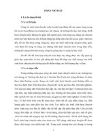 SKKN Một số biện pháp nâng cao hiệu quả sinh hoạt chuyên môn ở trường tiểu học