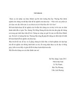 phát triển sản phẩm du lịch dựa trên đặc điểm tâm lý khách du lịch nhật bản