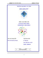 TIỂU LUẬN HÓA TIN SỬ DỤNG PHẦN MỀM CHEMISTRY CROCODILE