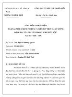 SKKN MỘT SỐ KINH NGHIỆM LUYỆN TẬP THỰC HÀNH NHỮNG ĐỘNG TÁC CỦA ĐỘI VIÊN TRONG NGHI THỨC ĐỘI