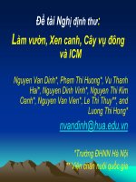 Đề tài Nghị định thư Làm vườn, Xen canh, Cây vụ đông và ICM