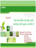 chuyên đề Sự nảy mầm của hạt, sinh trưởng chồi ngọn và chồi rể