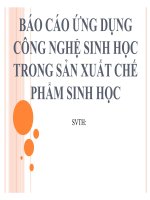 báo cáo ứng dụng công nghệ sinh học trong sản xuất chế phẩm sinh học