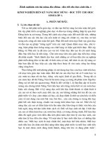 SKKN Kinh nghiệm rèn kỹ năng đọc đúng - đọc tốt cho học sinh lớp 1.