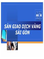 tiểu luận sàn giao dịch vàng sài gòn
