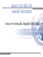 BÁO CÁO ĐỒ ÁN MẠNG NEURON