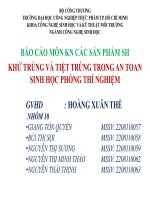 BÁO CÁO MÔN KN CÁC SẢN PHẨM SH KHỬ TRÙNG VÀ TIỆT TRÙNG TRONG AN TOAN SINH HỌC PHÒNG THÍ NGHIỆM