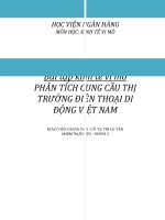Phân tích thị trường cung cầu điện thoại di động