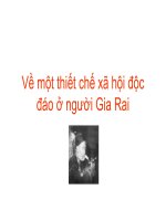 Về một thiết chế xã hội độc đáo ở người Gia Rai