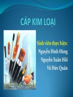 báo cáo nhóm cáp kim loại