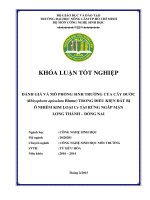 ĐÁNH GIÁ VÀ MÔ PHỎNG SINH TRƯỞNG CỦA CÂY ĐƯỚC (Rhizophora apiculata Blume) TRONG ĐIỀU KIỆN ĐẤT BỊ  Ô NHIỄM KIM LOẠI Cr TẠI RỪNG NGÂP MẶN  LONG THÀNH – ĐỒNG NAI