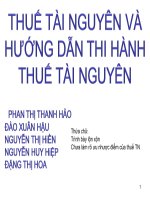 tiểu luận thuế tài nguyên và hướng dẫn thi hành thuế tài nguyên